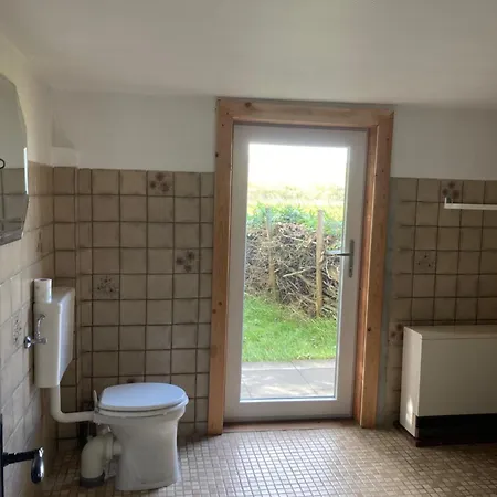 Suedfeddersbuell Hinterm Nordseedeich *